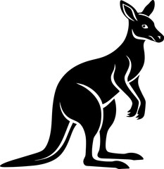 kangaroo vector illustration