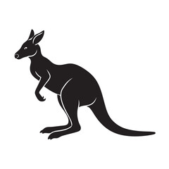kangaroo vector illustration