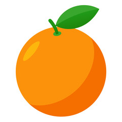 vector illustration of orange fruit