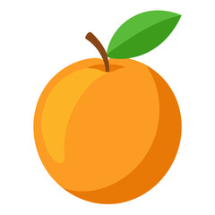vector illustration of an orange fruit