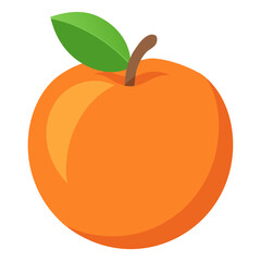 vector illustration of an orange