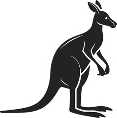 kangaroo vector illustration