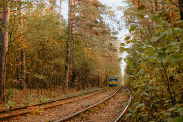 Train navigating through a serene forested landscape in autumn