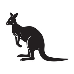 kangaroo vector illustration