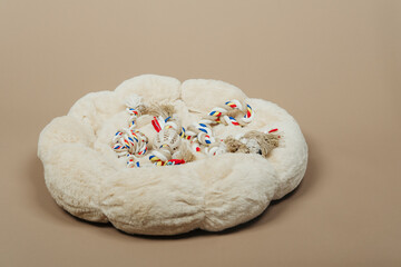 Pet toys set on dog bed in top view composition for animal care product advertisement or playful pet lifestyle concept