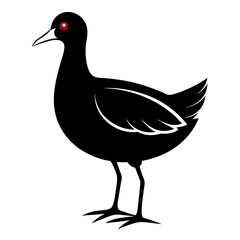 Moorhen vector clean black silhouette design white background