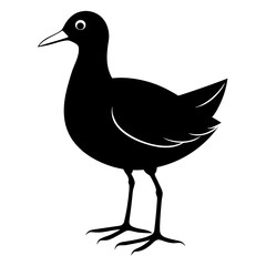 Moorhen vector clean black silhouette design white background