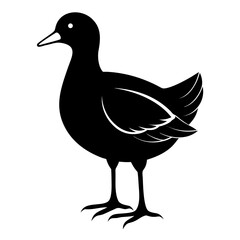 Moorhen vector clean black silhouette design white background