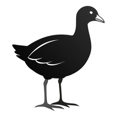 Moorhen vector clean black silhouette design white background