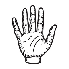 hand vector