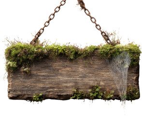 Mysterious mossy wooden sign hanging from an ancient rusty chain