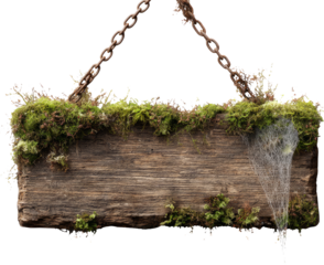 Mysterious mossy wooden sign hanging from an ancient rusty chain