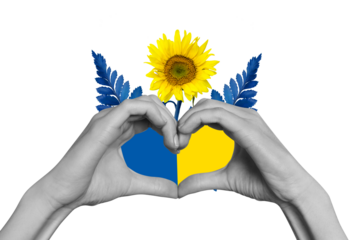 Composite collage picture of black white gamma arms fingers demonstrate heart gesture sunflower support ukraine against aggression