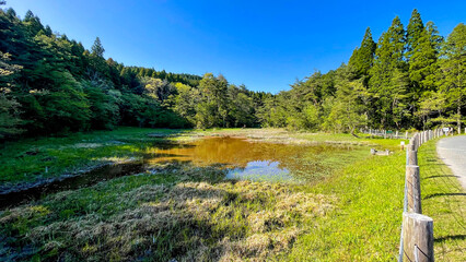 樫原湿原の豊かな生態系