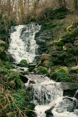 Eau de montagne ruisselante 