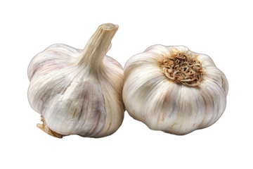 Two whole heads of garlic, light beige/white, with brown tips and stems, isolated on black