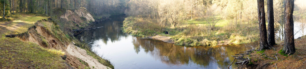 Serene River Meandering Through a Forest Landscape