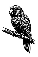 Black and White Parrot Illustration – Detailed Perched Bird Line Art