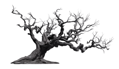 old dead spooky tree for halloween, transparent png 