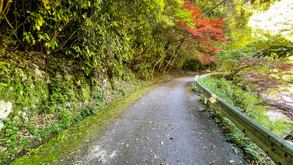 雄淵雌淵公園の奇石渓谷美