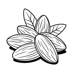 A black and white almonds illustration line art of a coloring page 