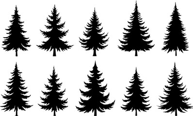 pine, tree, silhouette, evergreen, forest, nature,  vector bundle graphics