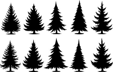 pine, tree, silhouette, evergreen, forest, nature,  vector bundle graphics