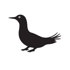 Fototapeta premium bird on a white background