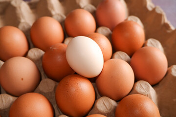 Close-up of fresh assorted chicken eggs