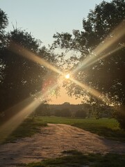 Sunset light shining through trees with scenic countryside view