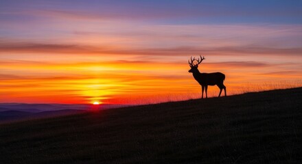 Silhouette of a Noble Stag at Dawn: A Serene Wildlife Encounter in Golden Light