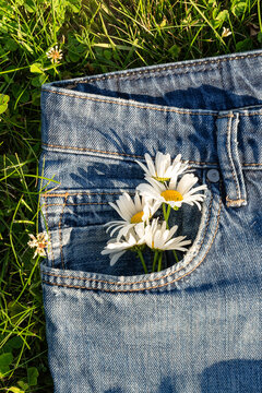 Daisies tucked into denim pocket on a summer day