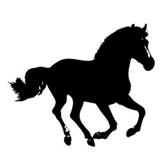 horse silhouette vector