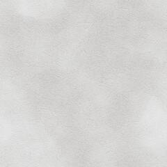 spider web on black background