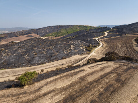 Fields, scrubland and forest burned after a forest fire