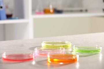 Petri dishes with different samples on grey table in laboratory, closeup. Solution chemistry
