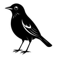 Nightingale vector clean black silhouette design white background