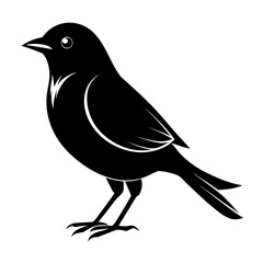 Nightingale vector clean black silhouette design white background