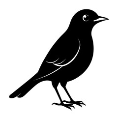 Nightingale vector clean black silhouette design white background
