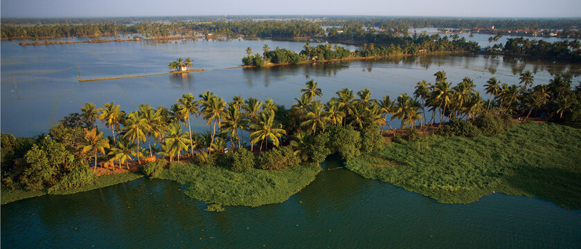 Aerial view of serene backwaters reflecting the sky, fringed by lush green vegetation and swaying palm trees, Alappuzha, Kerala, India.