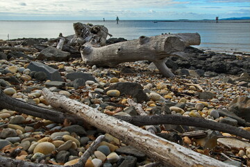 Driftwood from upstream in the Mersey River, Tasmania, after heavey rains. 