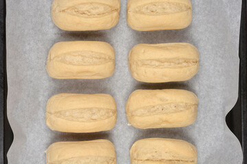 Eight raw bread rolls are arranged in two rows on a sheet of baking paper, ready to be baked in the oven