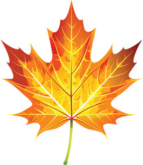 Light Party Alternative Autumn Maple Leaf Illustration