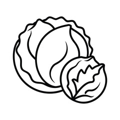 outline cabbage whole and cut on a white background