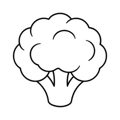  outline cauliflower head on a white background