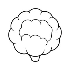  outline cauliflower head on a white background