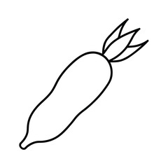  outline daikon radish on a white background 