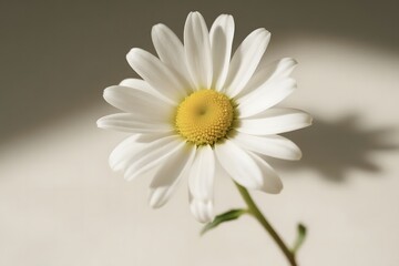 Naklejka premium Minimalist Floral Aesthetic with Elegant Botanical Elements