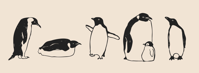 Set of king imperial Penguins in different poses. Adult birds and chick. Standing, lying down, walking penguins. Cute adorable birds. Hand drawn modern Vector illustration. Isolated design elements