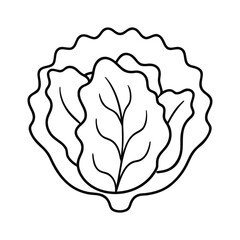 outline lettuce head on a white background.